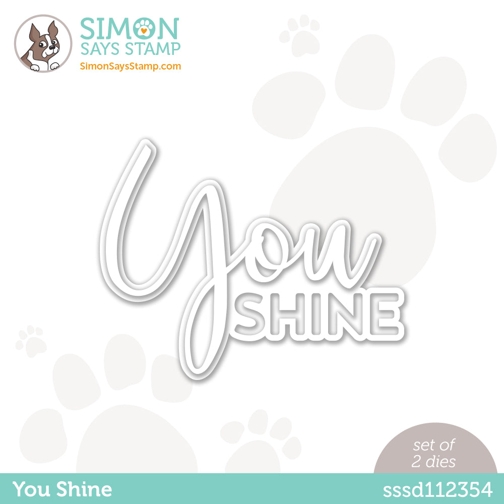 Simon Says Stamp YOU SHINE Wafer Dies sssd112354 *