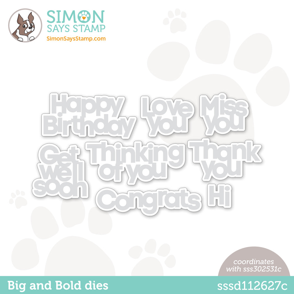 Simon Says Stamp Big and Bold Wafer Dies sssd112627c