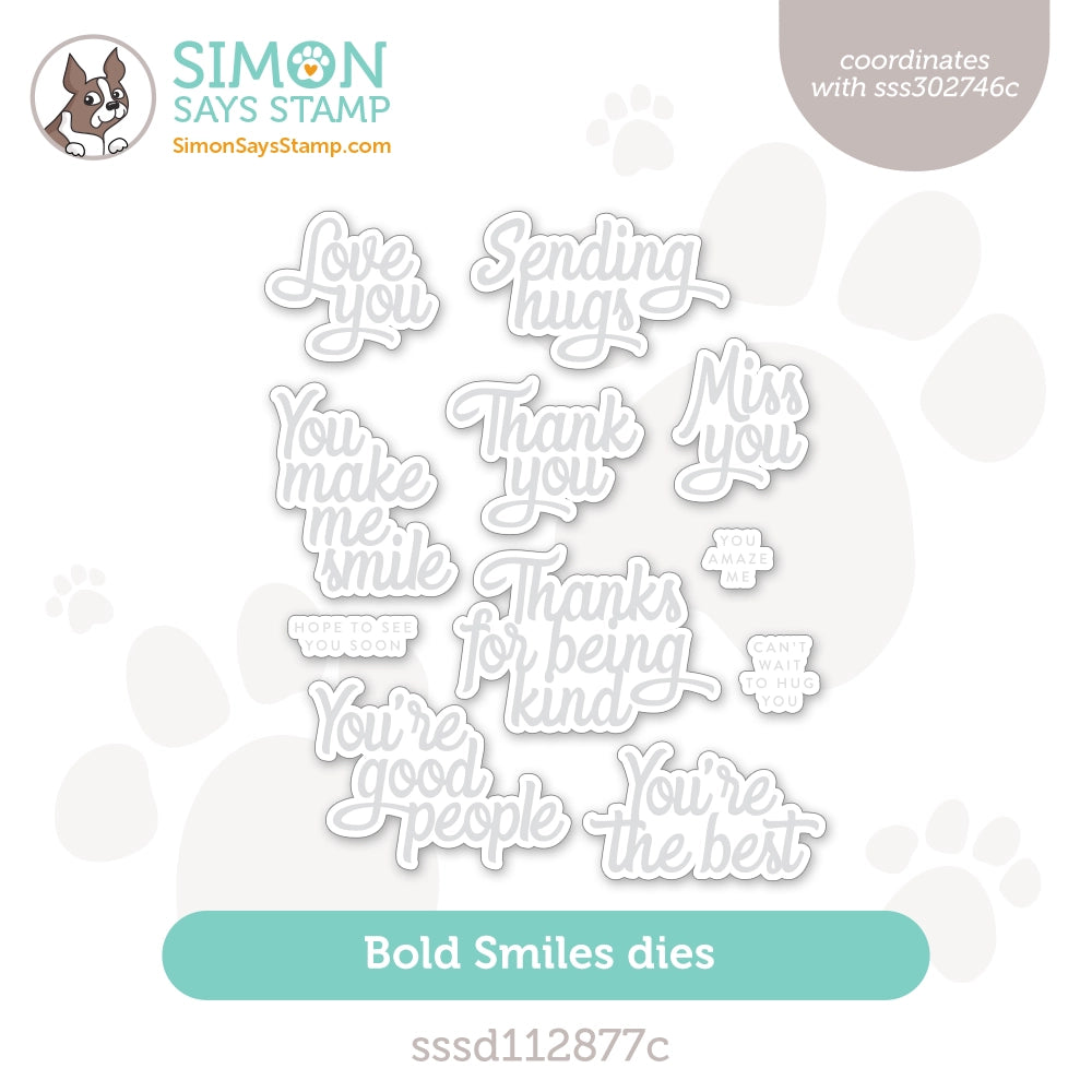 Simon Says Stamp Bold Smiles Wafer Dies sssd112877c Season Of Wonder