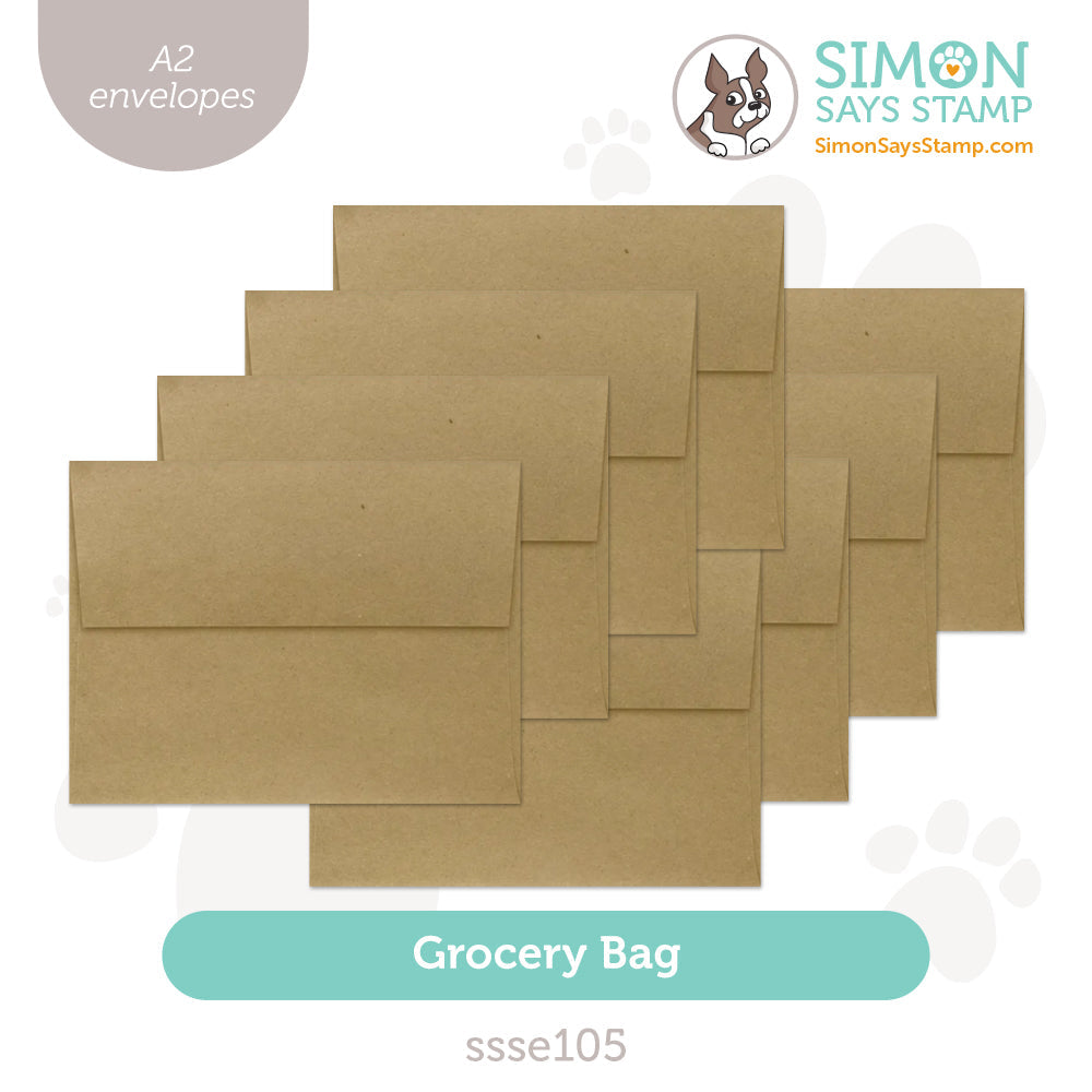 Simon Says Stamp Envelopes A2 Grocery Bag ssse105 Favorite Things