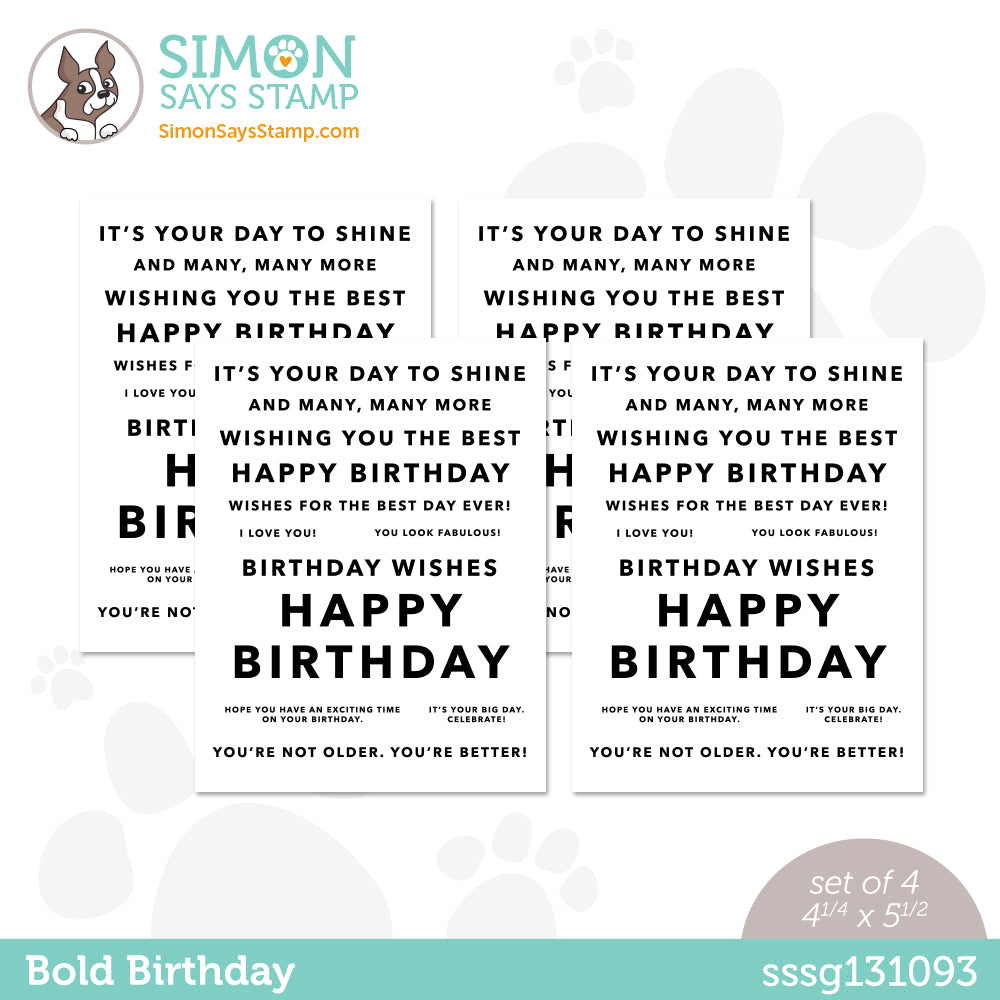 Simon Says Stamp Sentiment Strips BOLD BIRTHDAY sssg131093
