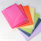 Simon Says Stamp! Simon Says Stamp PAWSITIVELY EVERYTHING 9.5x12  SLEEVES st0011 | color-code:ALT03