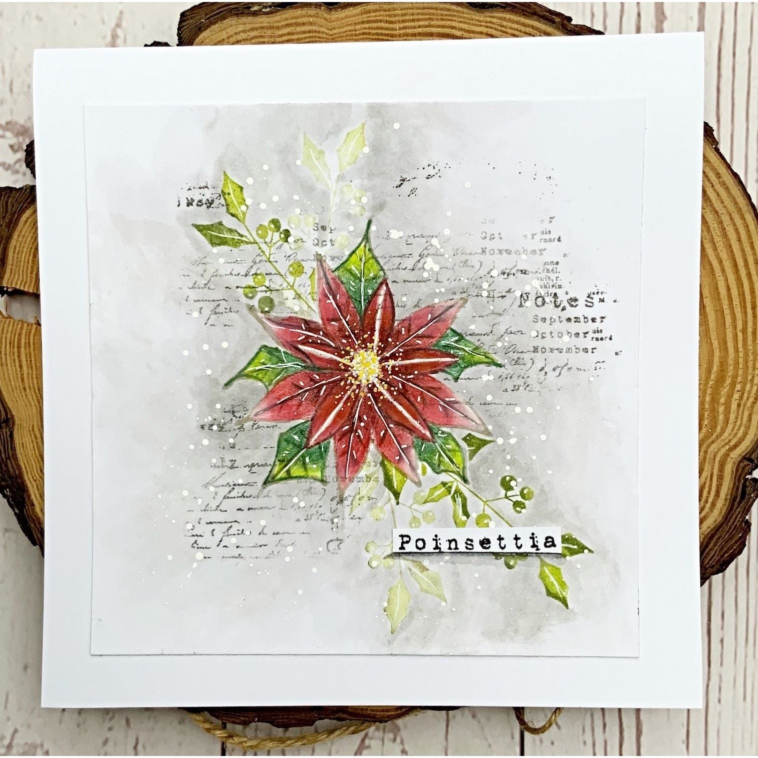 Tracy Evans Boutique Designs Poinsettia A7 Clear Stamps te20 floral