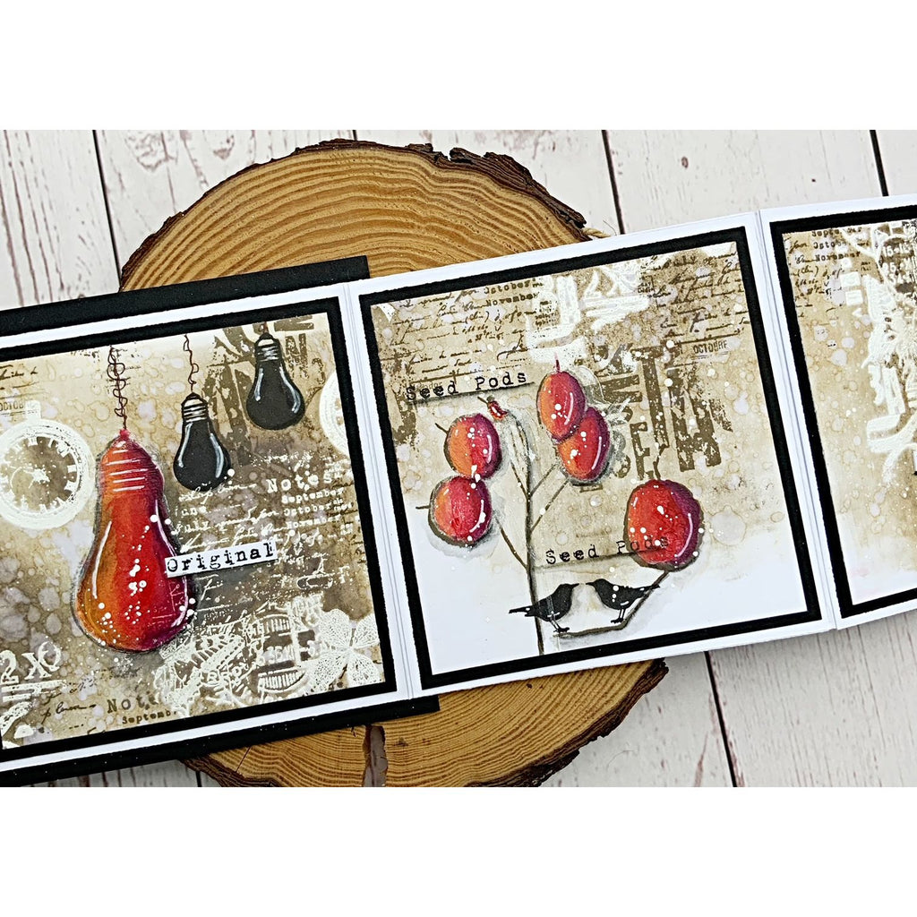 Tracy Evans Boutique Designs Seed Pods A7 Clear Stamps te29 seeds
