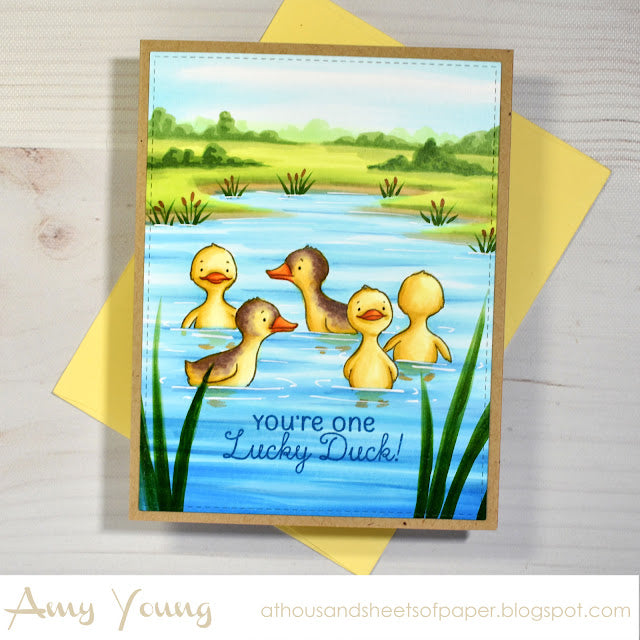 Colorado Craft Company Whimsy World Lucky Duck Clear Stamps ww982 pond