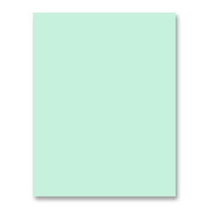 Simon Says Stamp Cardstock 100lb Mint MT18