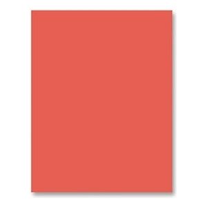 Simon Says Stamp! Simon Says Stamp Cardstock 100# BURNT ORANGE OR22