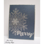 Simon Says Stamp! Ranger Embossing Powder SUPER FINE SILVER Detail EPJ37415