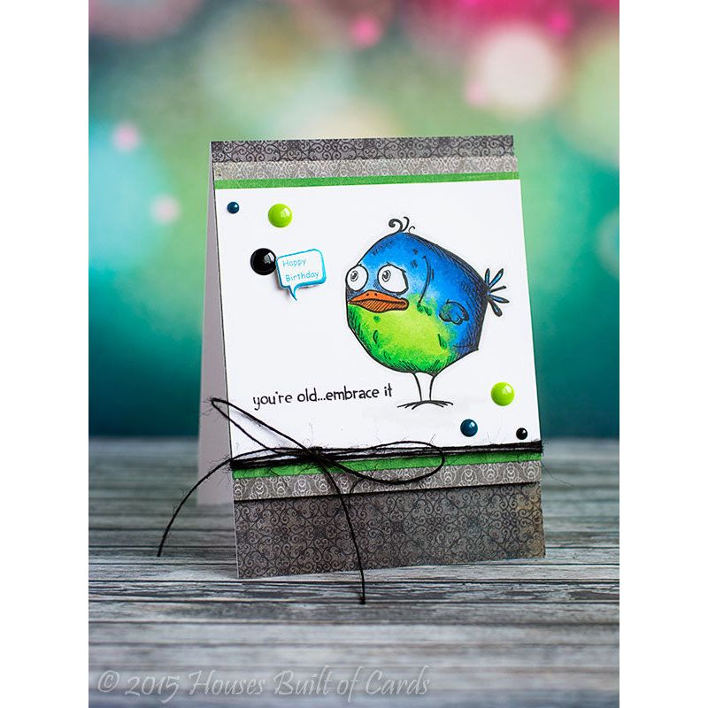 Simon Says Stamp! Tim Holtz Cling Rubber Stamps BIRD CRAZY cms212