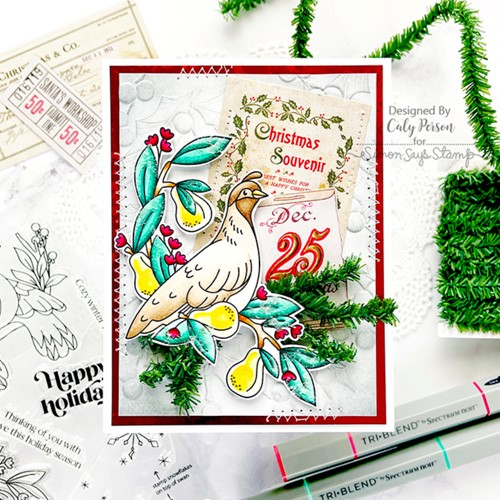 Simon Says Stamp! Ranger GLOSSY ACCENTS Glue Dimensional Adhesive GAC17042 | color-code:ALT833