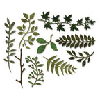 Simon Says Stamp! Tim Holtz Sizzix GARDEN GREENS Thinlits Die 661206