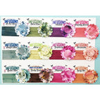 Simon Says Stamp! Paper Artsy RUSTY CAR Infusions Colored Stain CS17
