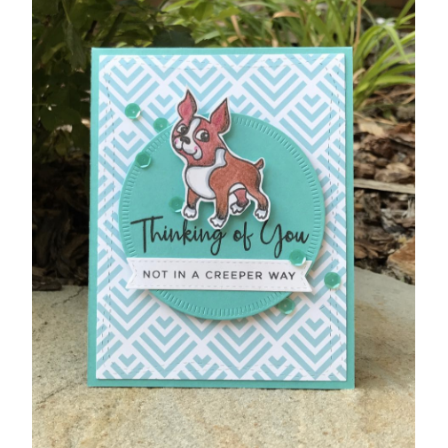 Simon Says Stamp! CZ Design Clear Stamps SIMPLE SENTIMENTS No. 1 CZ01