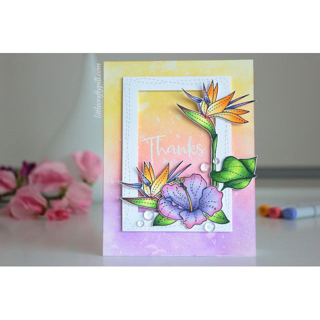 Simon Says Stamp! Simon Says Stamp WONKY RECTANGLES Wafer Dies SSSD111714