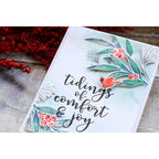 Simon Says Stamp! Tim Holtz Distress Oxide Ink Pad CANDIED APPLE Ranger TDO55860 | color-code:ALTM4