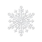 Simon Says Stamp! Simon Says Stamp Big BLISS SNOWFLAKE Wafer Die sssd111749