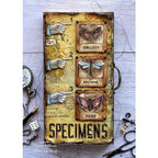 Simon Says Stamp! Tim Holtz Cling Rubber Stamps ENTOMOLOGY CMS328 | color-code:ALT3