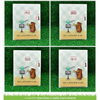 Simon Says Stamp! Lawn Fawn REVEAL WHEEL Die Cuts LF1703