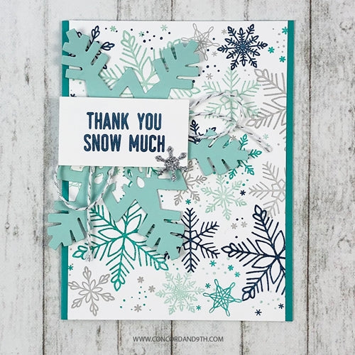 Simon Says Stamp! Concord & 9th SNOWFLAKES TURNABOUT Clear Stamp 10461