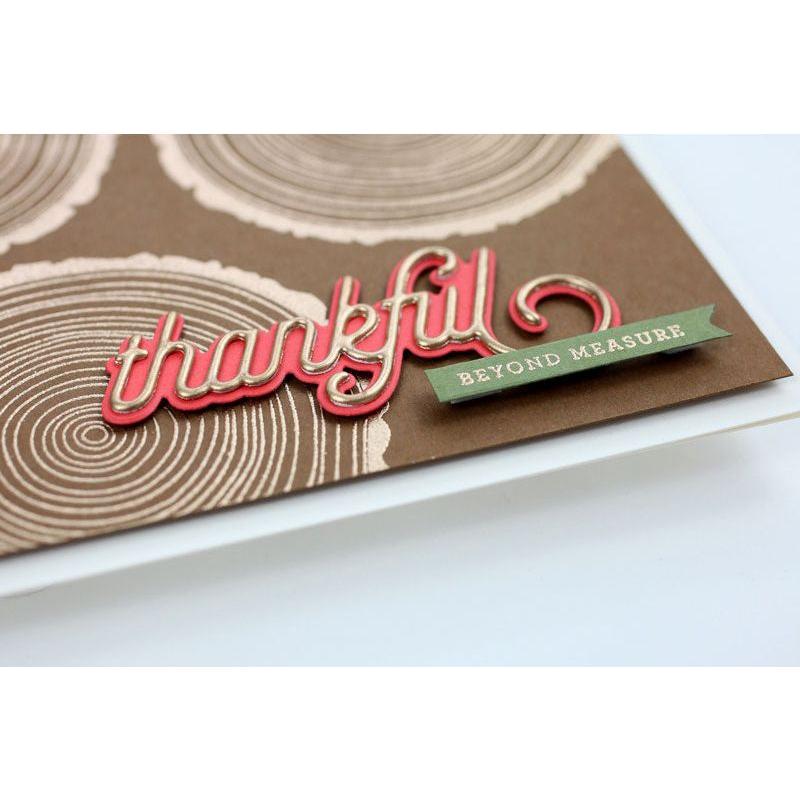 Simon Says Stamp! CZ Design Wafer Dies THANKFUL 2 czd38