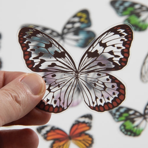 Simon Says Stamp! Tim Holtz Idea-ology TRANSPARENT WINGS th93785