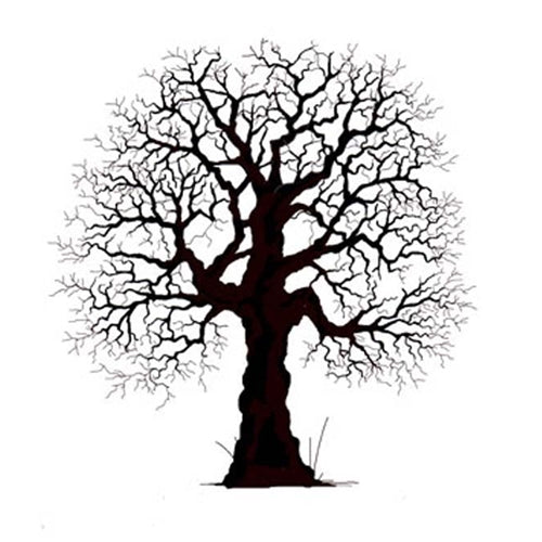 Simon Says Stamp! Lavinia Stamps OAK TREE Clear Stamp LAV186