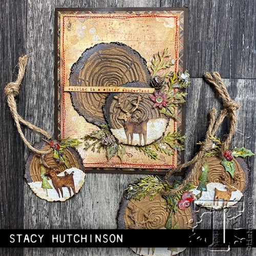 Simon Says Stamp! Tim Holtz Sizzix DECK THE HALLS Colorize Thinlits Dies 664229