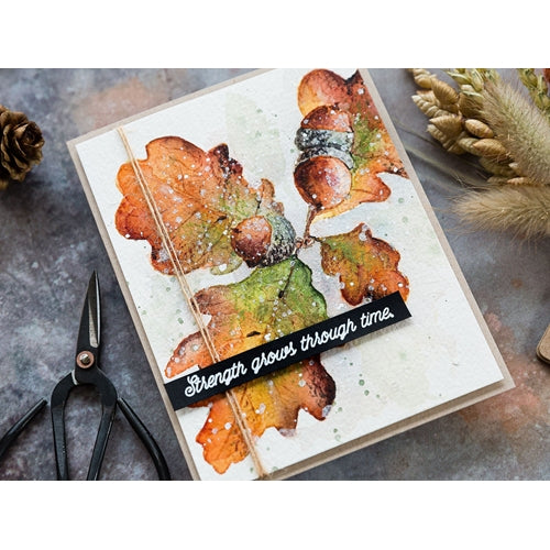 Simon Says Stamp! Colorado Craft Company Big and Bold OAK LEAVES AND ACORNS Clear Stamps BB263