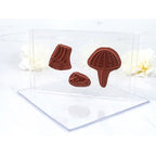 Simon Says Stamp! Purple Onion Designs 4 X 6 CLEAR MOUNTING STAMP pod9900