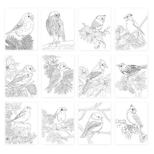 Simon Says Stamp! Simon Says Stamp Suzy's WINTER BIRDS Watercolor Prints szwc19wb