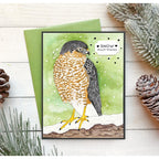 Simon Says Stamp! Simon Says Stamp Suzy's WINTER BIRDS Watercolor Prints szwc19wb | color-code:ALT1