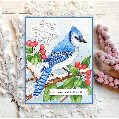 Simon Says Stamp! Simon Says Stamp Suzy's WINTER BIRDS Watercolor Prints szwc19wb | color-code:ALT12