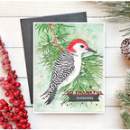 Simon Says Stamp! Simon Says Stamp Suzy's WINTER BIRDS Watercolor Prints szwc19wb | color-code:ALT2
