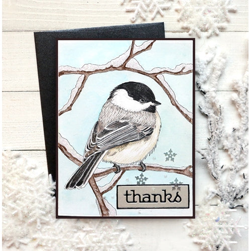 Simon Says Stamp! Simon Says Stamp Suzy's WINTER BIRDS Watercolor Prints szwc19wb | color-code:ALT3