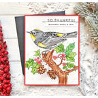 Simon Says Stamp! Simon Says Stamp Suzy's WINTER BIRDS Watercolor Prints szwc19wb | color-code:ALT4