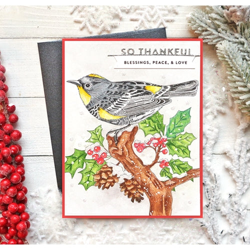 Simon Says Stamp! Simon Says Stamp Suzy's WINTER BIRDS Watercolor Prints szwc19wb | color-code:ALT4