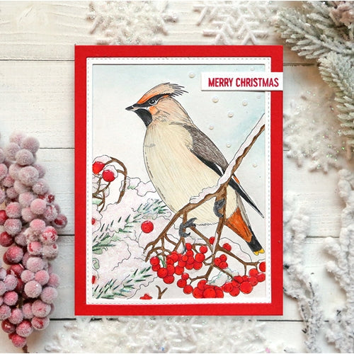 Simon Says Stamp! Simon Says Stamp Suzy's WINTER BIRDS Watercolor Prints szwc19wb | color-code:ALT5