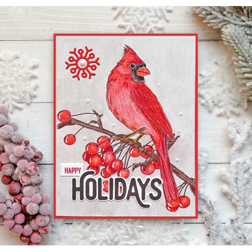 Simon Says Stamp! Simon Says Stamp Suzy's WINTER BIRDS Watercolor Prints szwc19wb | color-code:ALT6