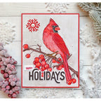 Simon Says Stamp! Simon Says Stamp Suzy's WINTER BIRDS Watercolor Prints szwc19wb | color-code:ALT6