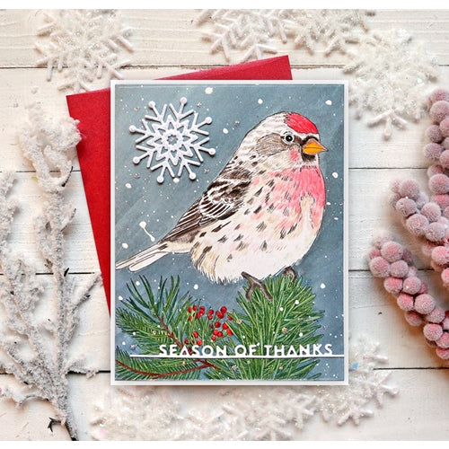 Simon Says Stamp! Simon Says Stamp Suzy's WINTER BIRDS Watercolor Prints szwc19wb | color-code:ALT9