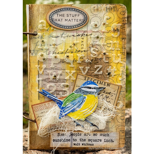 Simon Says Stamp! Tim Holtz Sizzix FEATHERED FRIENDS Thinlits Die 664433 | color-code:ALT11