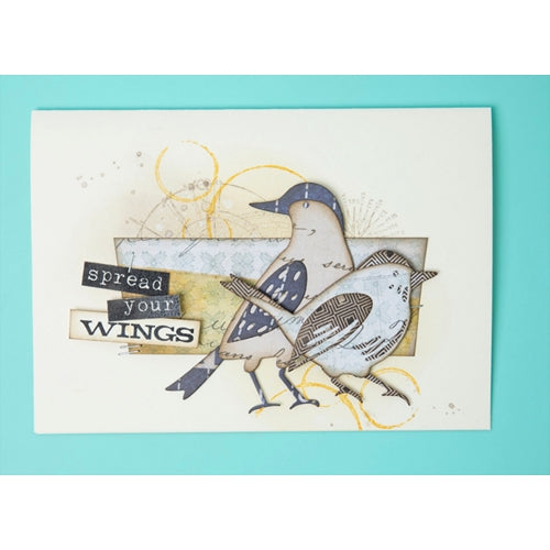Simon Says Stamp! Tim Holtz Sizzix FEATHERED FRIENDS Thinlits Die 664433