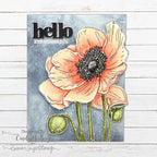 Simon Says Stamp! Simon Says Stamp BOLD HELLO Wafer Die sssd112103