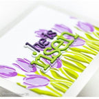 Simon Says Stamp! CZ Design Wafer Dies HE IS RISEN czd83 Lucky To Know You | color-code:ALT4