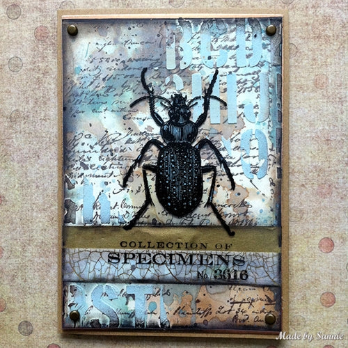 Simon Says Stamp! Tim Holtz Flip Top Distress Paint SPECKLED EGG Ranger tdf72560 | color-code:ALT02