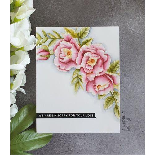 Simon Says Stamp! Simon Says Stamp SENTIMENT STRIPS REVERSE SYMPATHY czg007