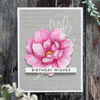 Simon Says Stamp! Simon Says Stamp SENTIMENT STRIPS BIRTHDAYS sssg131024