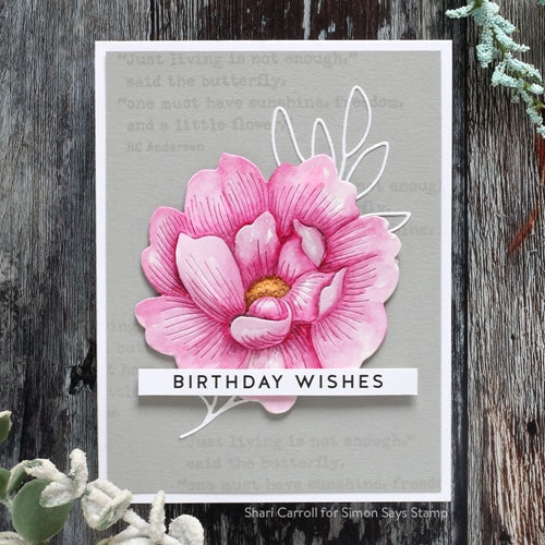 Simon Says Stamp! Simon Says Stamp SENTIMENT STRIPS BIRTHDAYS sssg131024