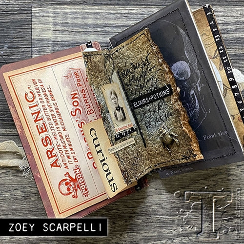 Simon Says Stamp! Tim Holtz Idea-ology ENTOMOLOGY ADORNMENTS th94079