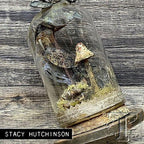 Simon Says Stamp! Tim Holtz Idea-ology TOADSTOOLS th94082